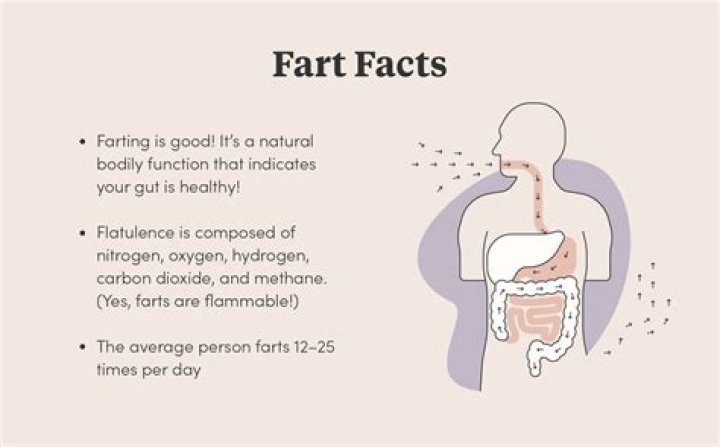 Why am i farting a lot?