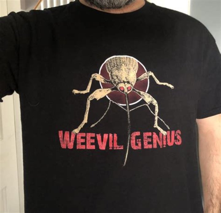 Why are my red wigglers white?