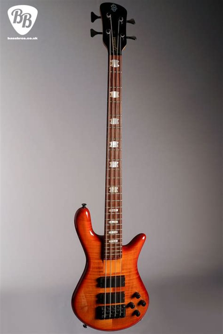 Why did spector kill bailey?