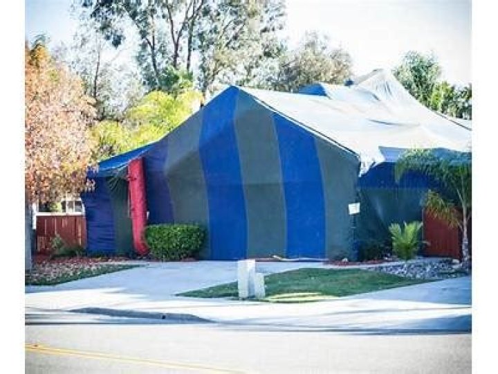 Why do they tent houses for termites?