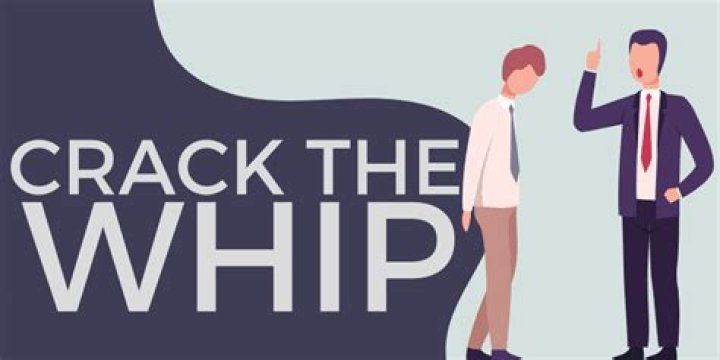 Why does a whip crack?