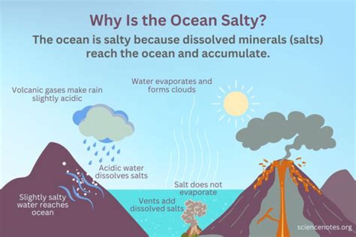 Why does salt get wet?