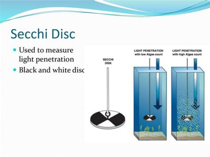 Why is a secchi disk black and white?