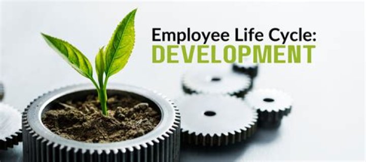 Why is development so important?