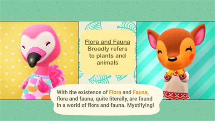 Why is fauna popular animal crossing?