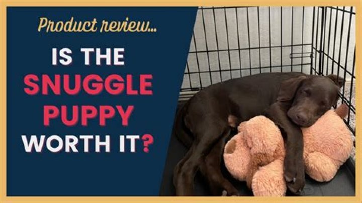 Why is snuggle me dangerous?