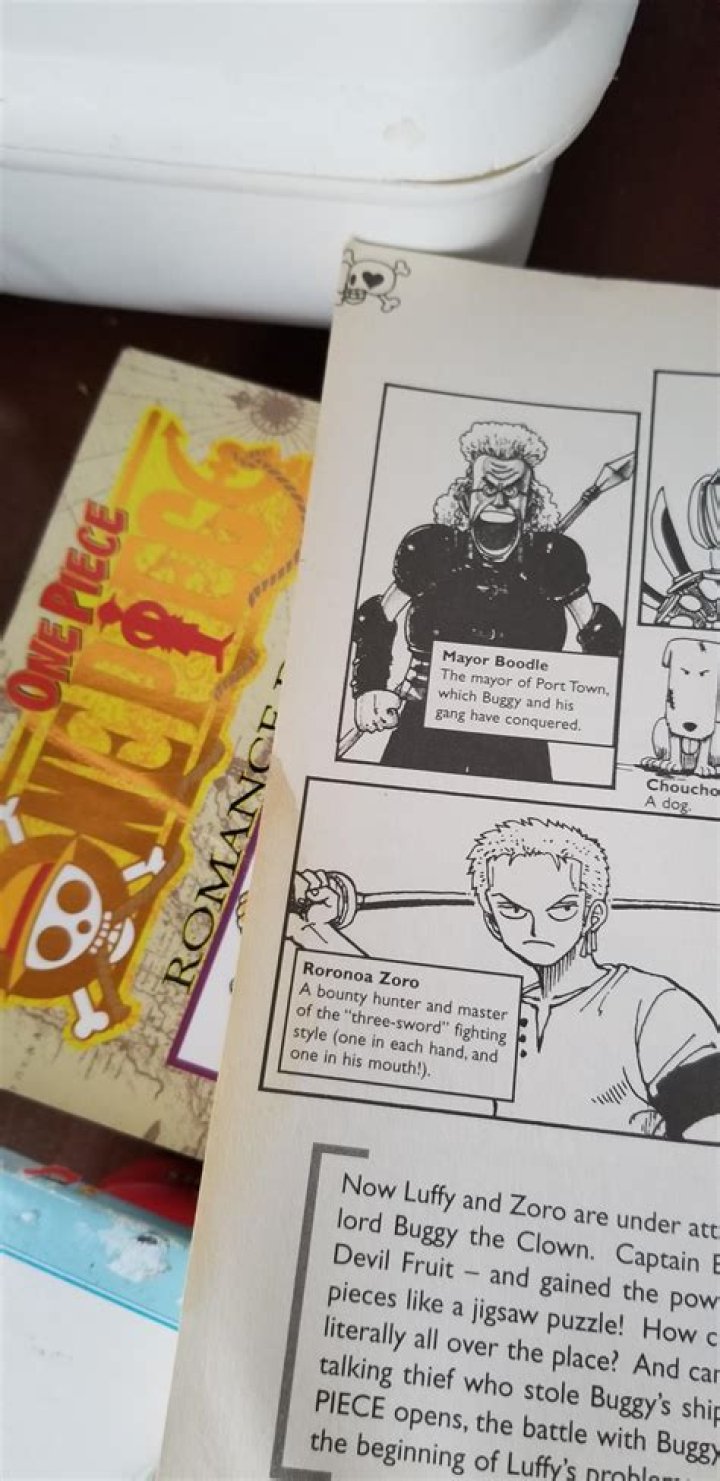 Why was Zoro changed to Zolo?