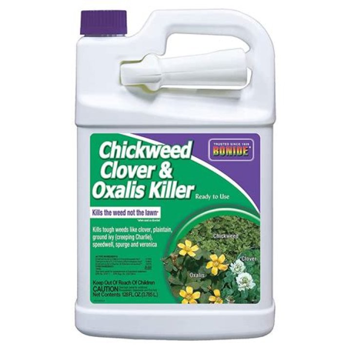 Will de amine 4 kill clover?