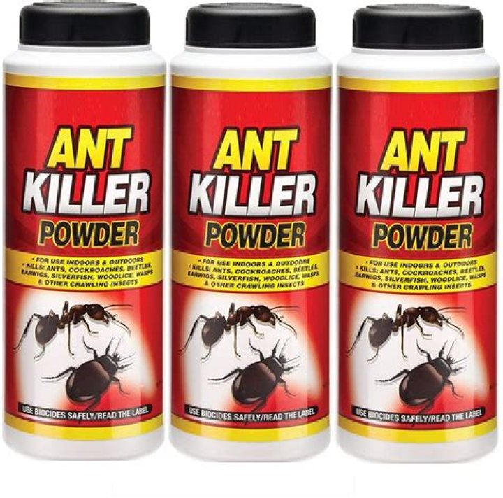 Will fumigation kill ants?