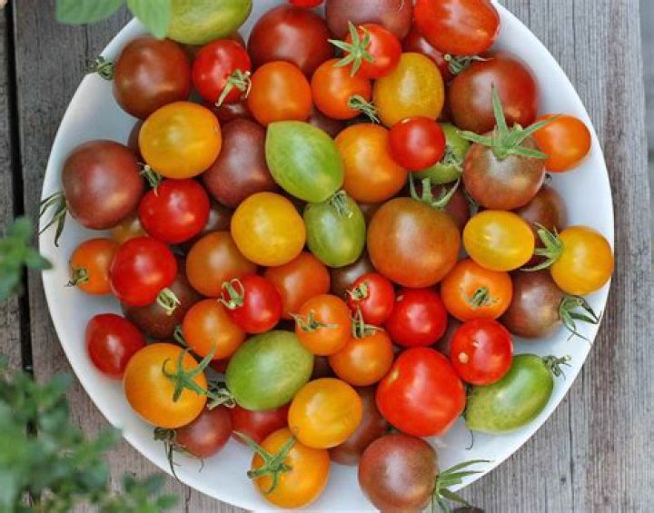 Will green cherry tomatoes ripen in the house?