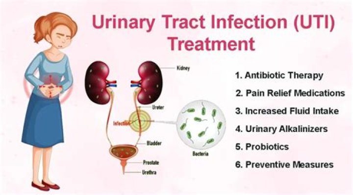 Will uti antibiotics treat yeast infection?
